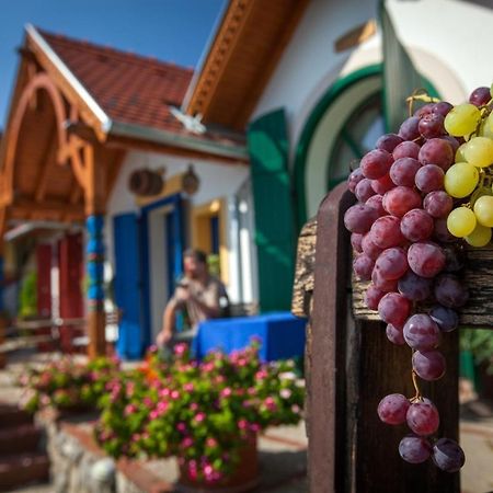 Bed and Breakfast Bagoly Pincesor Fogado Pécs Exterior foto
