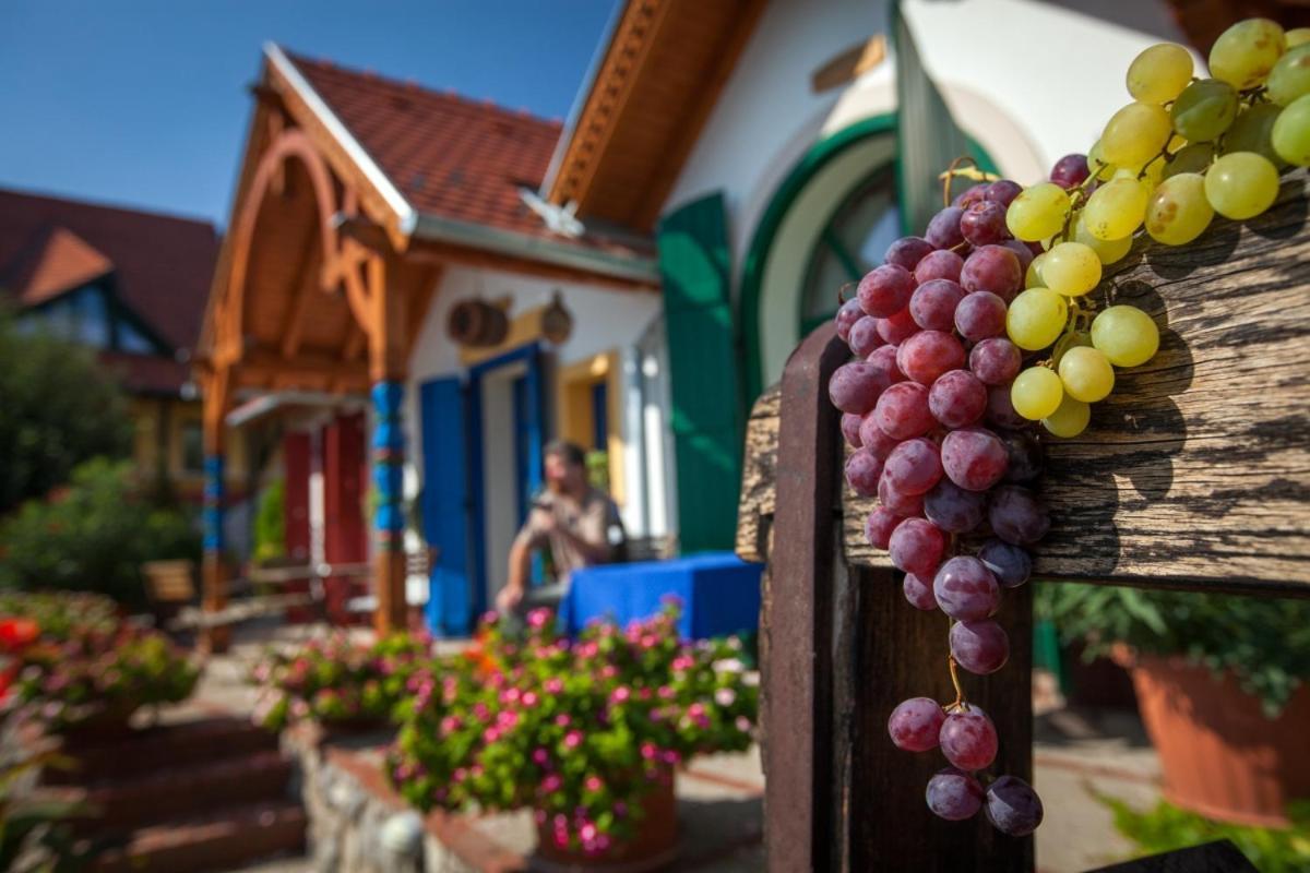 Bed and Breakfast Bagoly Pincesor Fogado Pécs Exterior foto